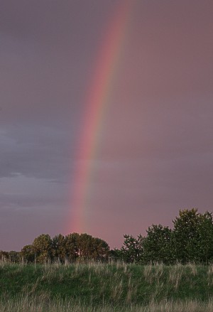 De regenboog boven Houten © 2009 Jan-Peter Geertman